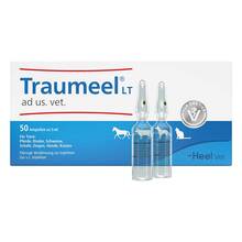 Abbildung: Traumeel LT ad us.vet.Ampullen 50X5 ml, Ampullen PZN 11240658 