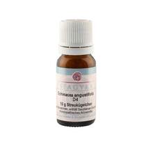 Abbildung: ECHINACEA ANGUSTIFOLIA D 4 Globuli 10 g, Globuli PZN 11280468 
