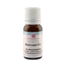 Abbildung: ALLIUM CEPA D 12 Globuli 10 g, Globuli PZN 11280617 