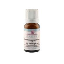 Abbildung: GELSEMIUM SEMPERVIRENS D 6 Globuli 10 g, Globuli PZN 11282467 