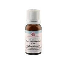 Abbildung: RHUS TOXICODENDRON C 200 Globuli 10 g, Globuli PZN 11282728 