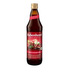 Abbildung: Rabenhorst Antioxidantien Bio Saft 700 ml, Saft PZN 11342146 