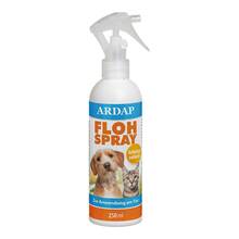  PZN 11566377 250 ml, Spray