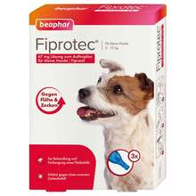Abbildung: Fiprotec 67 mg Lösung z.Auftr.für kleine Hunde 3X0.67 ml, Tropfen PZN 12568177 