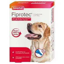 Abbildung: Fiprotec 268 mg Lösung z.Auftr.für große Hunde 3X2.68 ml, Tropfen PZN 12568214 