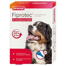 Abbildung: Fiprotec 402 mg Lösung z.Auftr.für sehr größe Hunde 3X4.02 ml, Tropfen PZN 12568220 