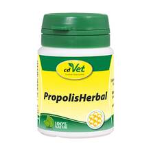Abbildung: Propolis Herbal Pulver vet. (für Tiere) 450 g, Pulver PZN 13243690 