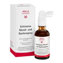 Abbildung: Echinacea Mund- und Rachenspray 50 ml, Spray PZN 13426663 