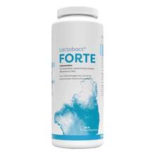 Abbildung: Lactobact Forte magensaftresistente Kapseln 300 St, Kapseln magensaftresistent PZN 13657061 