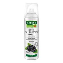 Abbildung: RAUSCH Dry Shampoo fresh Dosierspray 150 ml, Dosierspray PZN 13722545 
