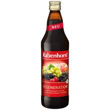 Abbildung: Rabenhorst Regeneration Bio Saft 700 ml, Saft PZN 13921960 