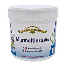 Abbildung: Murmeltier Salbe im Tiegel 200 ml, Salbe PZN 14138038 