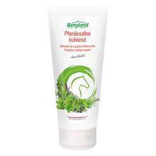 Abbildung: Pferdesalbe kühlend 200 ml, Salbe PZN 14142034 