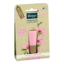 Abbildung: Kneipp Lippenpflege Hautzart Mandel Candelilla 1 St PZN 14184908 