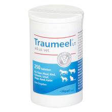 Abbildung: Traumeel LT ad us.vet.Tabletten 250 St, Tabletten PZN 15300328 