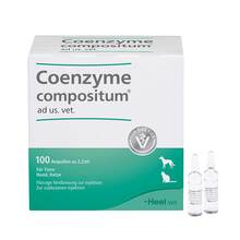Abbildung: Coenzyme Compositum ad us.vet.Ampullen 100 St, Ampullen PZN 15300417 