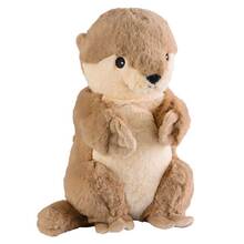 Abbildung: WARMIES Otter 1 St PZN 15405748 