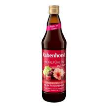 Abbildung: Rabenhorst Wohlfühlen mit Eisen Saft 700 ml, Saft PZN 15416143 