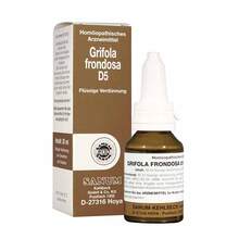Abbildung: Grifola frondosa D 5 Tropfen 10 ml, Tropfen PZN 15621475 