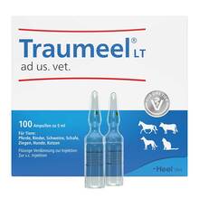 Abbildung: Traumeel LT ad us.vet.Ampullen 100X5 ml, Ampullen PZN 15895712 