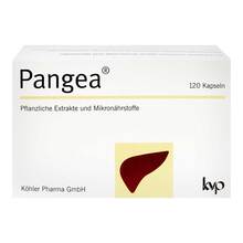 Abbildung: Pangea Kapseln 120 St, Kapseln PZN 16007518 