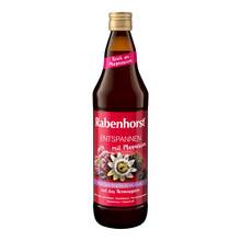 Abbildung: Rabenhorst Entspannen mit Magnesium Saft 700 ml, Saft PZN 16201114 