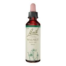 Abbildung: BACHBLÜTEN Original 33 Walnut Tropfen 10 ml, Tropfen PZN 16677561 