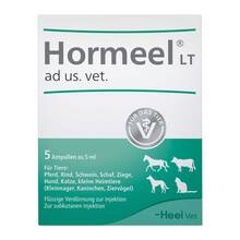 Abbildung: Hormeel LT ad us.vet.Ampullen 5X5 ml, Ampullen PZN 16866150 