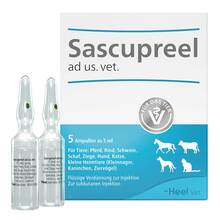 Abbildung: Sascupreel ad us.vet.Ampullen 5X5 ml, Ampullen PZN 17511762 
