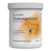 Abbildung: Glukosaminol equin Pulver für Pferde 600 g, Pulver PZN 17835217 