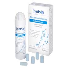 Abbildung: Evolsin Warzenvereiserspray 75 ml, Spray PZN 17847835 