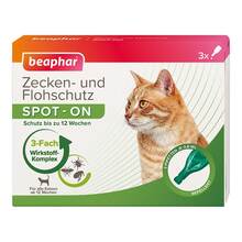 Abbildung: Zecken-Und Flohschutz Spot-on für Katzen 2.4 ml, Tropfen PZN 17849366 