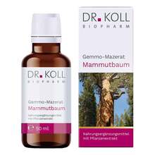 Abbildung: Gemmo-Mazerat Mammutbaum Dr.Koll Sequoia giga.Tro. 50 ml, Tropfen PZN 18468011 