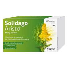 Abbildung: Solidago Aristo 300 mg Tabletten 60 St, Tabletten PZN 18494899 