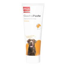 Abbildung: Pha Gastropaste für Hunde 100 ml, Paste PZN 19225718 