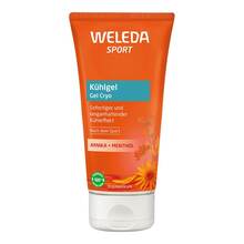  PZN 19558153 100 ml, Gel