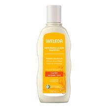 Abbildung: Weleda Replenish & Care Shampoo Hafer 190 ml, Shampoo PZN 19630821 
