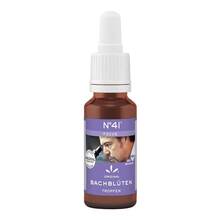 Abbildung: Bachblüten Nr.41 Focus Tropfen 20 ml, Tropfen zum Einnehmen PZN 19850161 