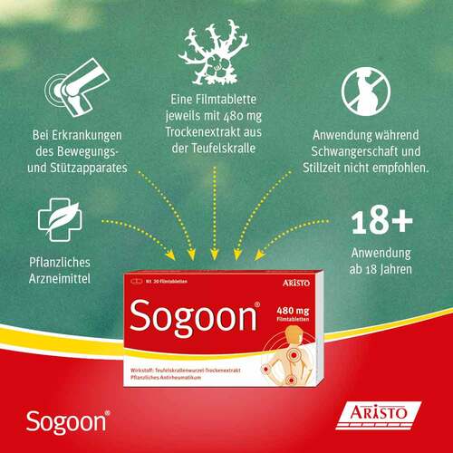 Sogoon 480 mg Filmtabletten - 4