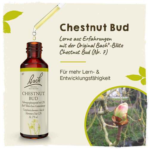 Bachbl&uuml;ten Chestnut Bud Tropfen - 2