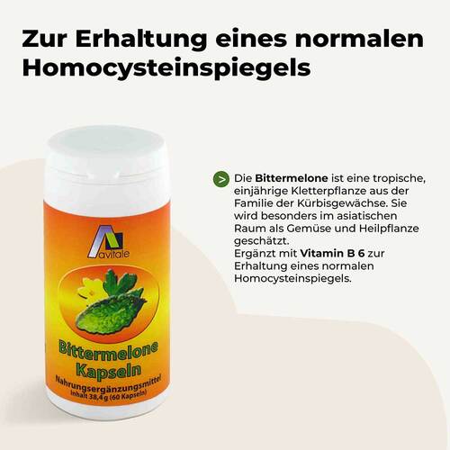 Bittermelone Kapseln 500 mg - 2