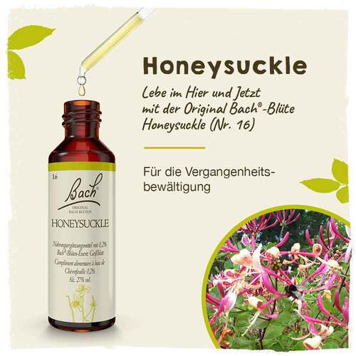 Bachbl&uuml;ten Honeysuckle Tropfen - 2