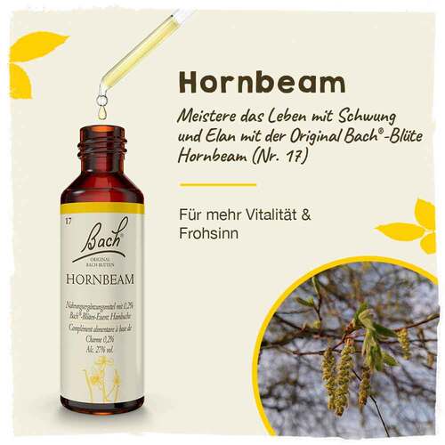 Bachbl&uuml;ten Hornbeam Tropfen - 2