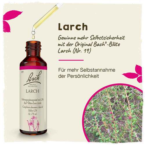 Bachbl&uuml;ten Larch Tropfen - 2