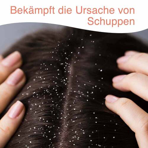 STIEPROX Intensiv Shampoo - 8