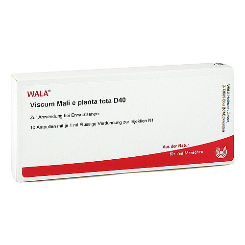 VISCUM MALI e planta tota D 40 Ampullen - 1