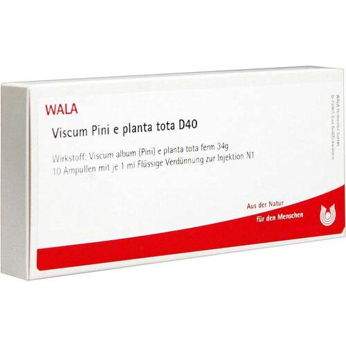 VISCUM PINI e planta tota D 40 Ampullen - 1