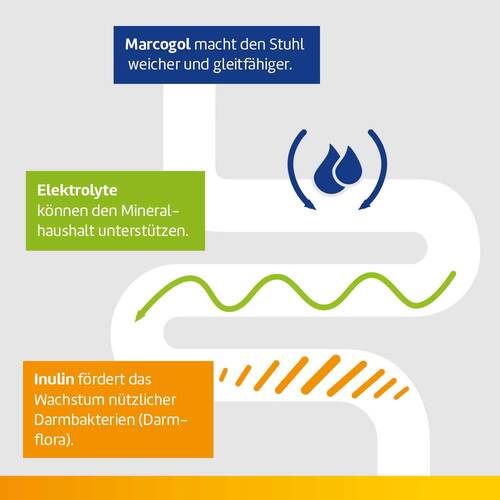 Laxatan M Granulat zur Herstellung einer Suspension zum Einnehmen  - 6