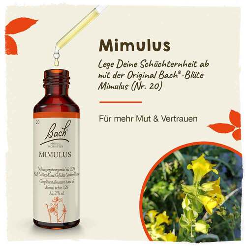 Bachbl&uuml;ten Mimulus Tropfen - 2