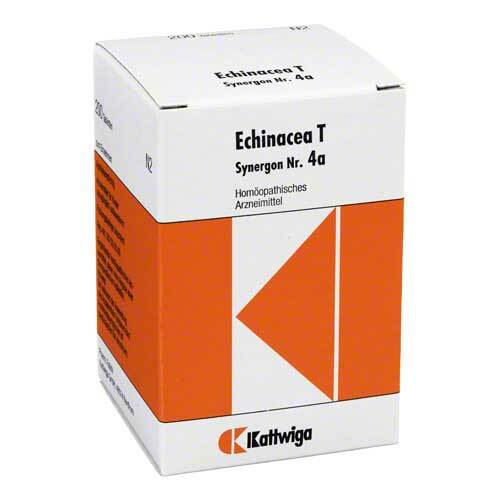 SYNERGON KOMPLEX 4a Echinacea T Tabletten - 1